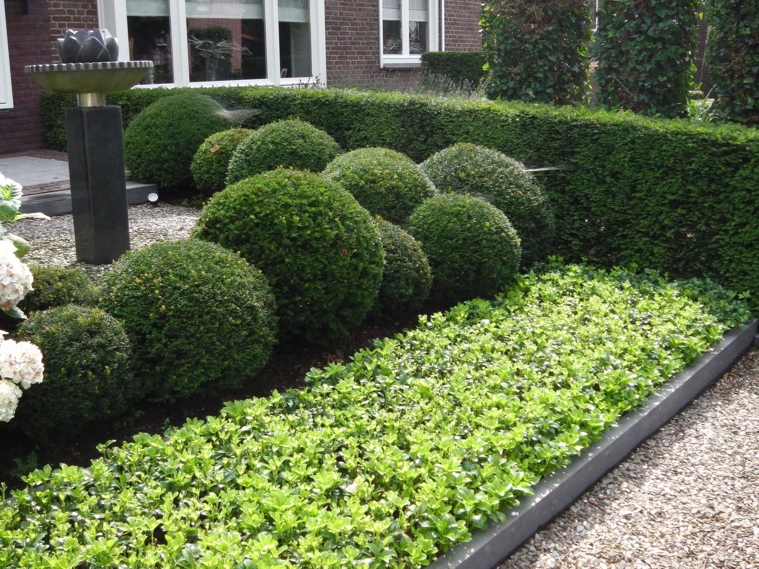 Buy Yew Topiary Balls Taxus Baccata Ball Shapes Hopes Grove Nurseries.