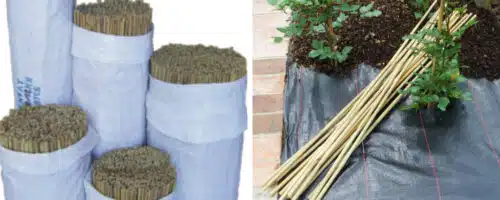 bamboo canes and accessories