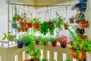 fresh plants and flowers on a hanging display