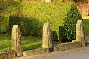 beech hedge with pillars