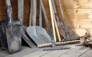 shovels and rakes in a shed
