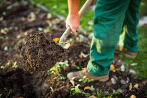 gardener in green overalls shovelling brown dirt