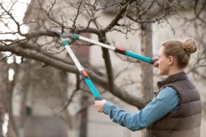 woman cutting tree branches