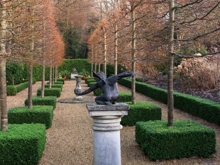 Avenue of pleached Lime trees in Winter Tilia x europea Pallida