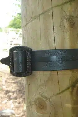 Buckle Tree Ties  Large 25mmx45cm (1inx18in)