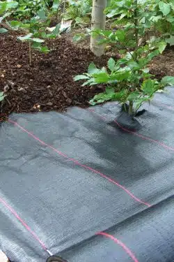 Landscape Fabric  2mx100m (6.5ftx325ft)