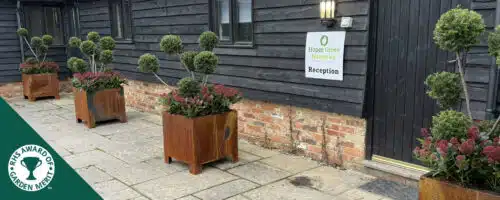 BUY ENGLISH YEW POMPON TOPIARY PLANTS ONLINE FROM HOPES GROVE NURSERIES
