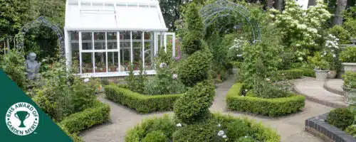 BUY ENGLISH YEW TAXUS BACCATA SPIRAL SHAPE TOPIARY PLANTS ONLINE FROM HOPES GROVE NURSERIES